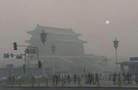 pm2.5,中国,汚染,奇形,大気汚染,環境汚染,動物,障害,奇形,砂漠化,中国大陸,