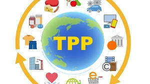 TPP,イレブン,GDP,環太平洋パートナーシップ協定,NZ,ベトナム,日本,アジア,経済,豪,APEC,台湾,