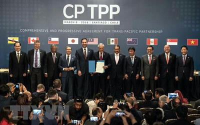 TPP,TPP11,GDP,CPTTP,環太平洋パートナーシップ協定,NZ,カナダ,日本,豪,アジア,経済,貿易,